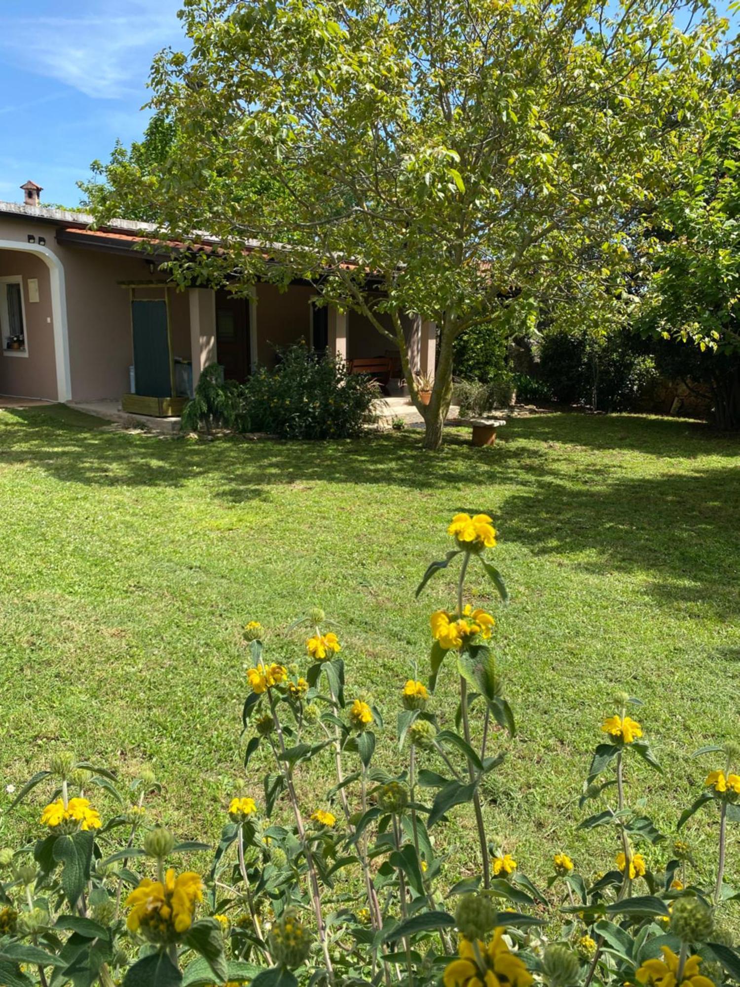 Apartman "Almond House 2" Pula Exterior foto